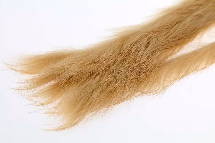 Kanin zonker S-cut 3mm