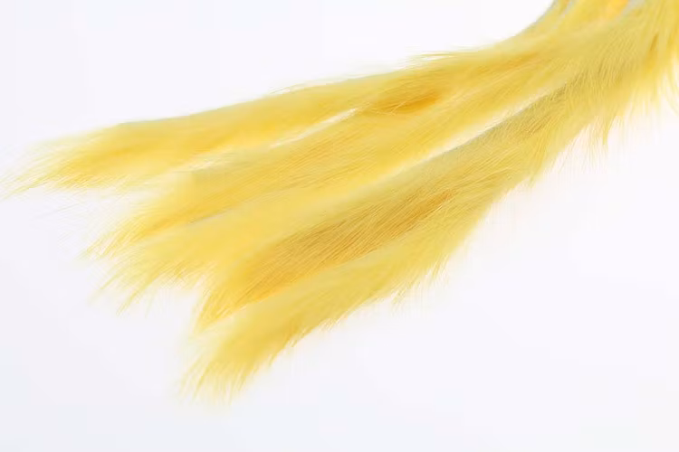 Kanin zonker S-cut 3mm