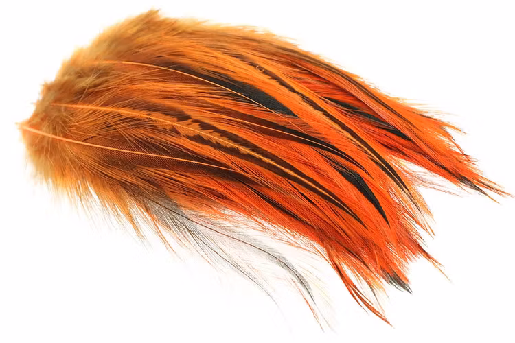 Cock Hackles