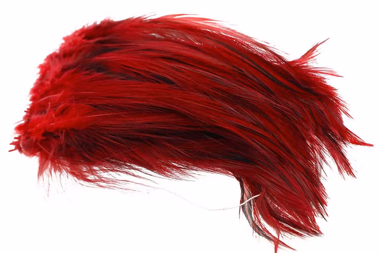 Cock Hackles