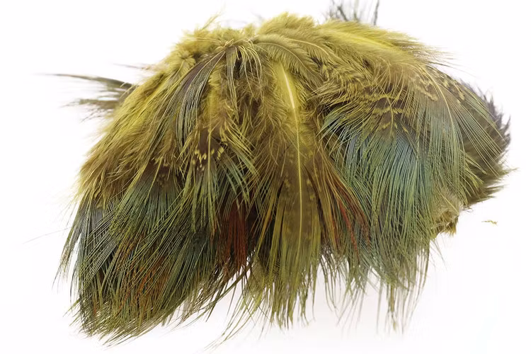 Ringneck Rump Hackle