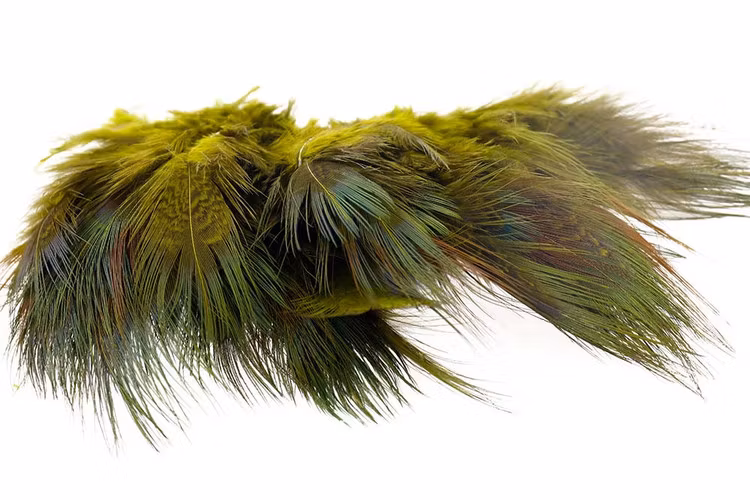 Ringneck Rump Hackle