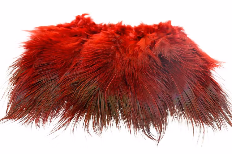 Ringneck Rump Hackle
