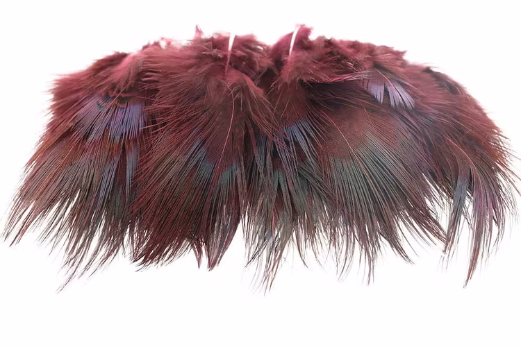 Ringneck Rump Hackle
