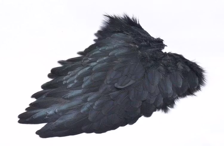 Future Fly - American Hen Saddle