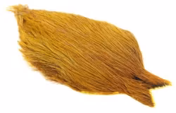 Whiting - Coq De Leon Cape