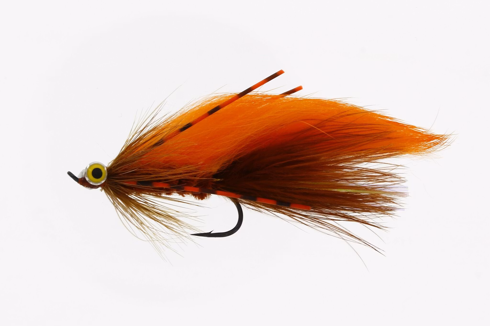 Zonky Brown/Orange #6