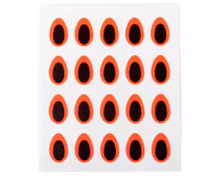 Pacchiarini's predator eys