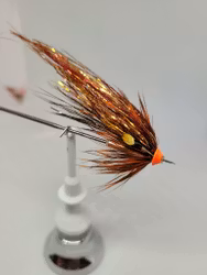 Gingernesen Flashwing /5-7dagar BESTÄLLNINGSVARA