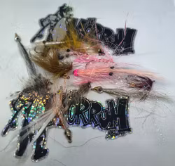 Fiskeshopens 5 favoriter - Kust