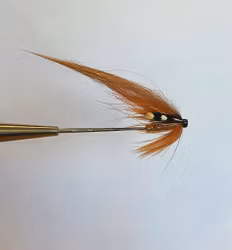 Orange & Brown Tubfluga