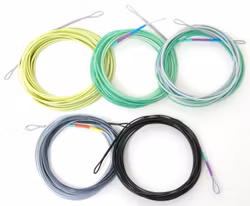 Guideline 4D Compact Tip