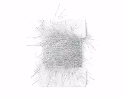 Long hair large holo