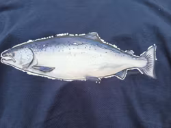 Lax Mörrum T-Shirt Marinblå