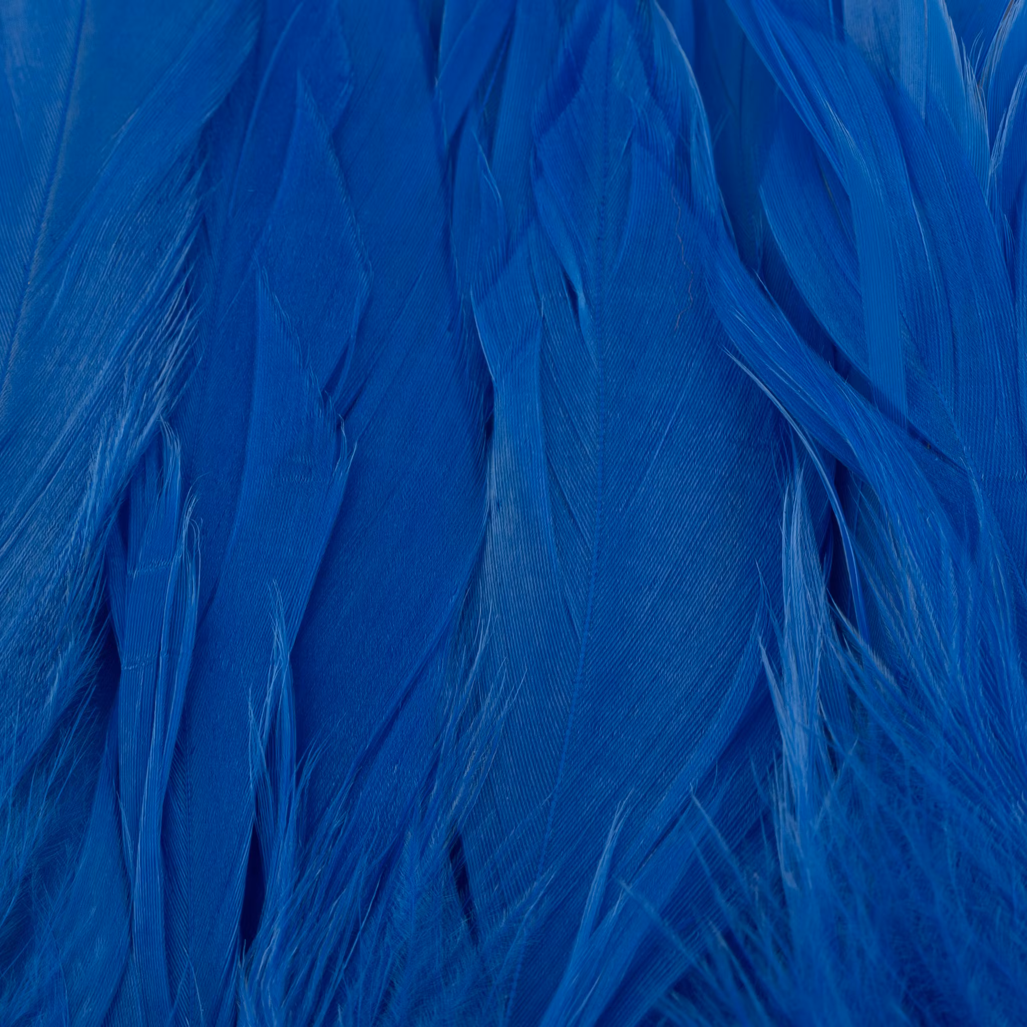 Future Fly - Schlappen Feathers