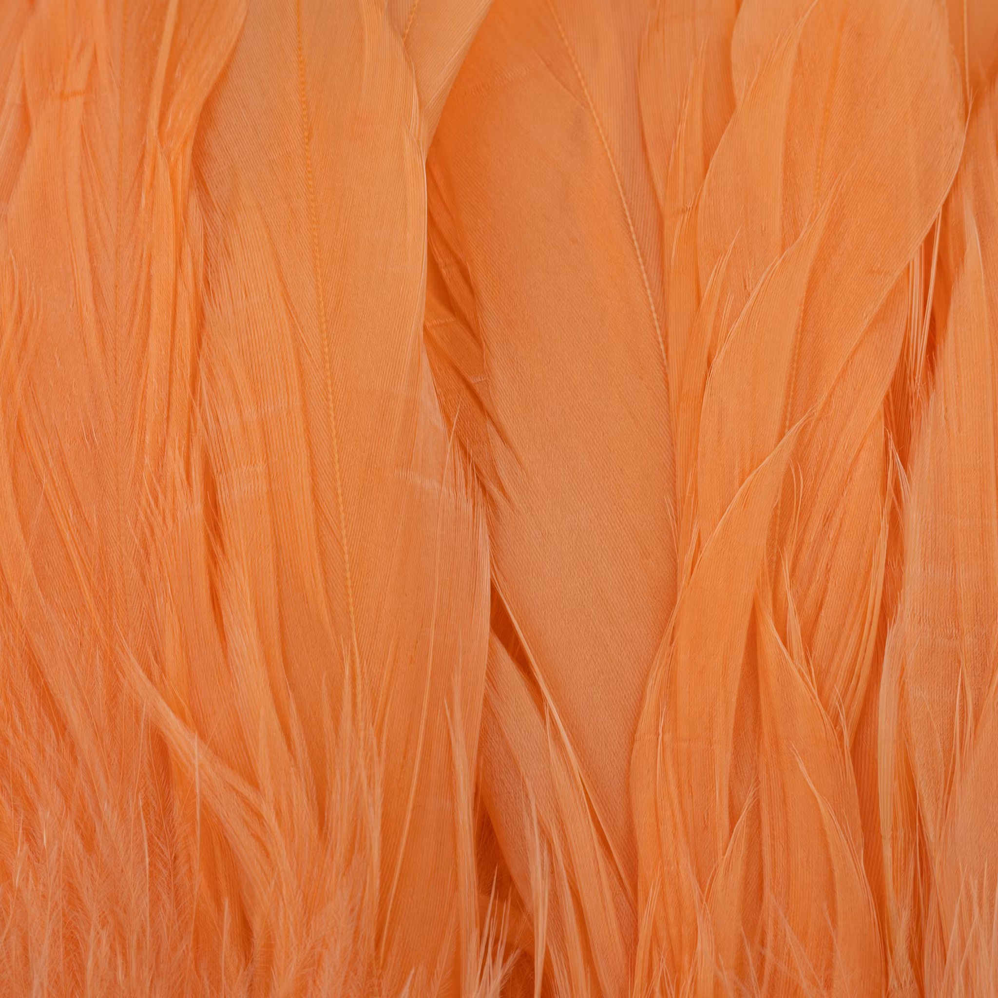 Future Fly - Schlappen Feathers