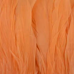 Future Fly - Schlappen Feathers