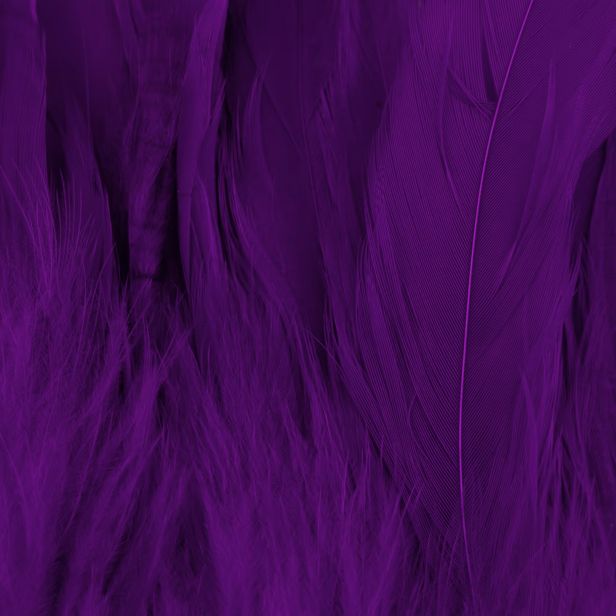 Future Fly - Schlappen Feathers