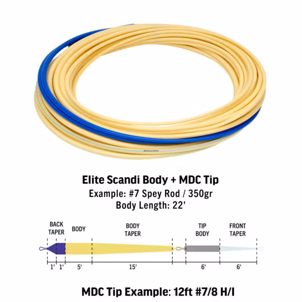 Rio Scandi MDC Kit Short