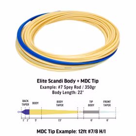 Rio Scandi MDC Kit Short