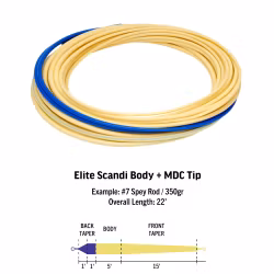 RIO ELITE SCANDI BODY INT / S3