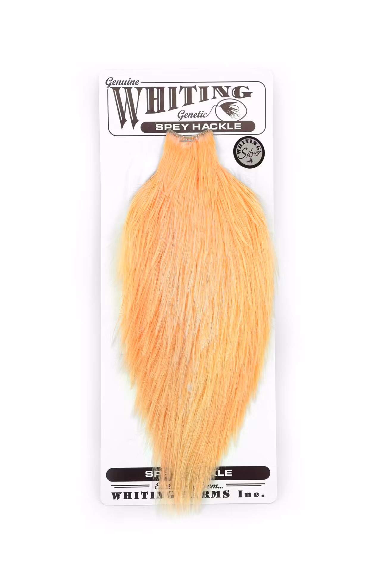 Whiting Spey Hackle Rooster Cape Silver White dyed Salmon