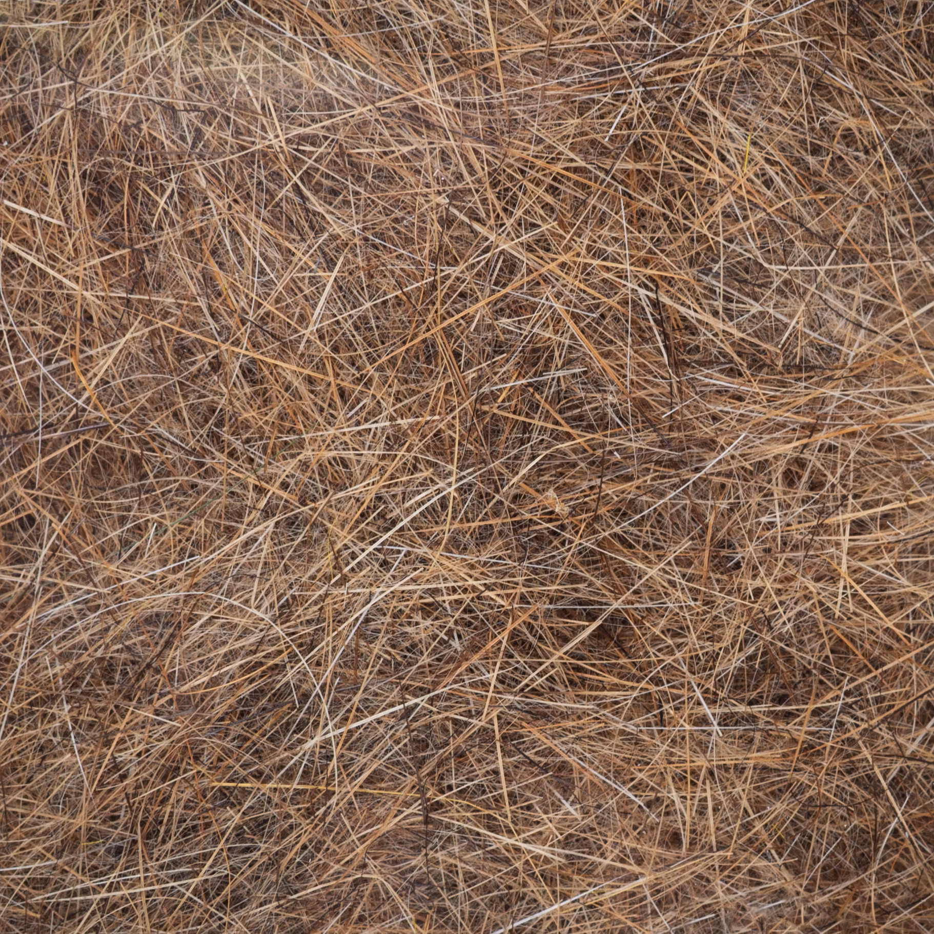 Flydressing Hare´s Ultra Dub