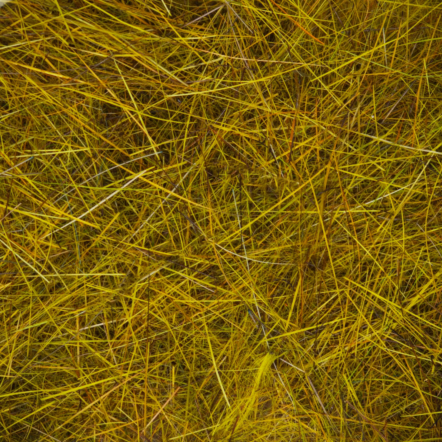 Flydressing Hare´s Ultra Dub