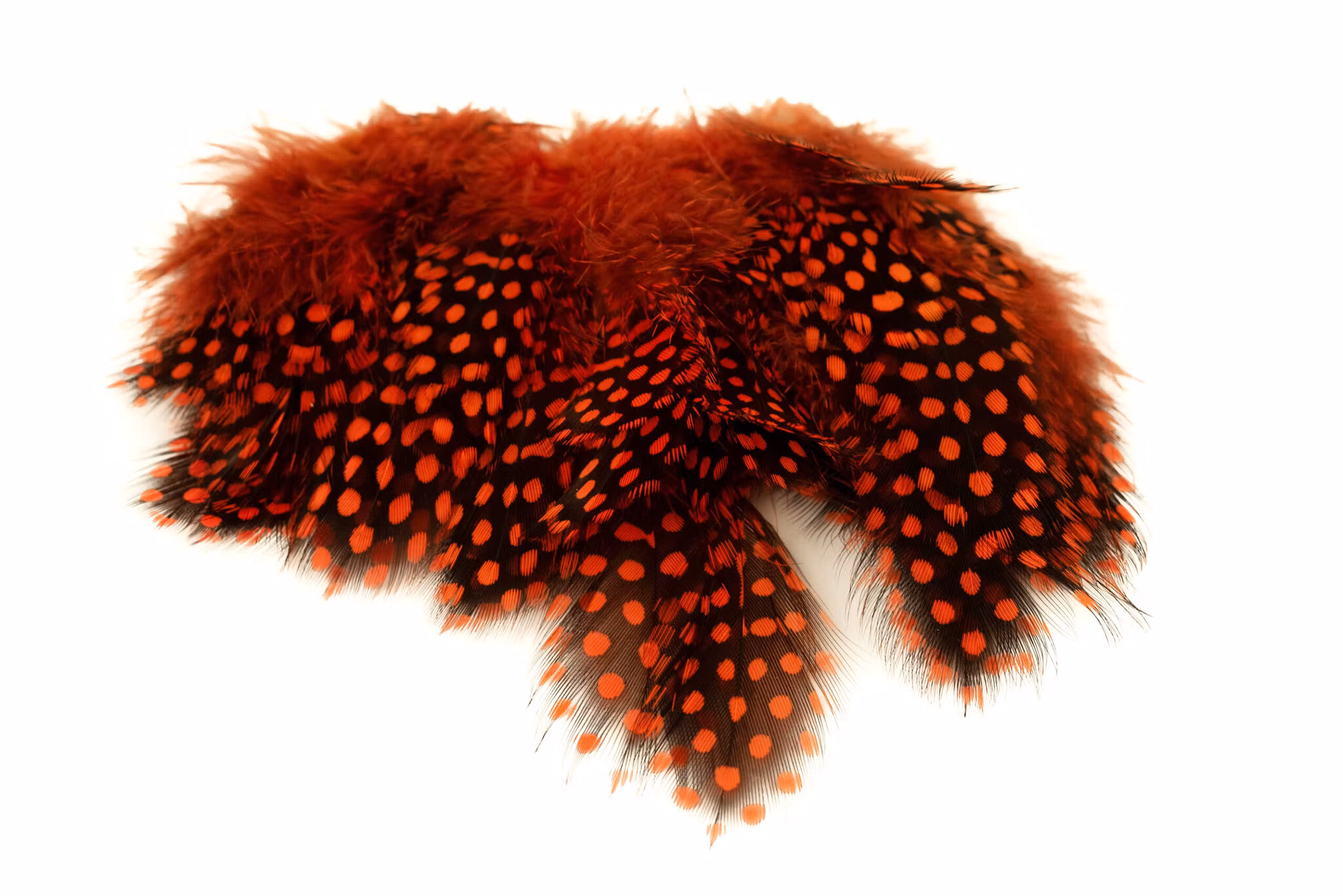 Strung Guinea Feathers (pärlhöna)