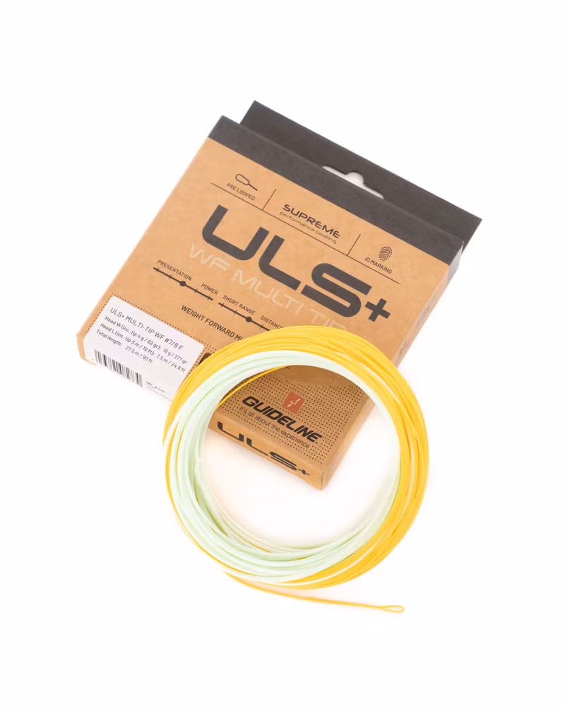 Guideline ULS+ WF Multi Tip