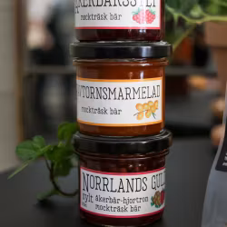 Mockträsk bär - Marmelad och sylt