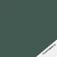 Forrest Green -  French Terry