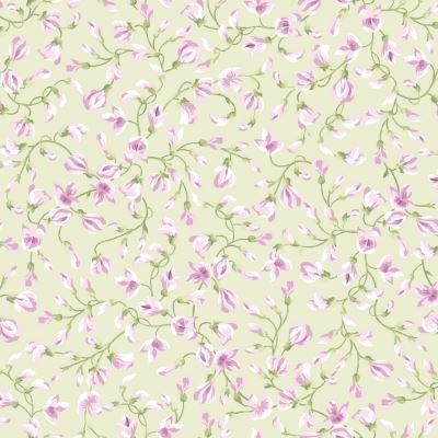 Sugar Lilac Yasmin