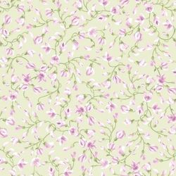 Sugar Lilac Yasmin
