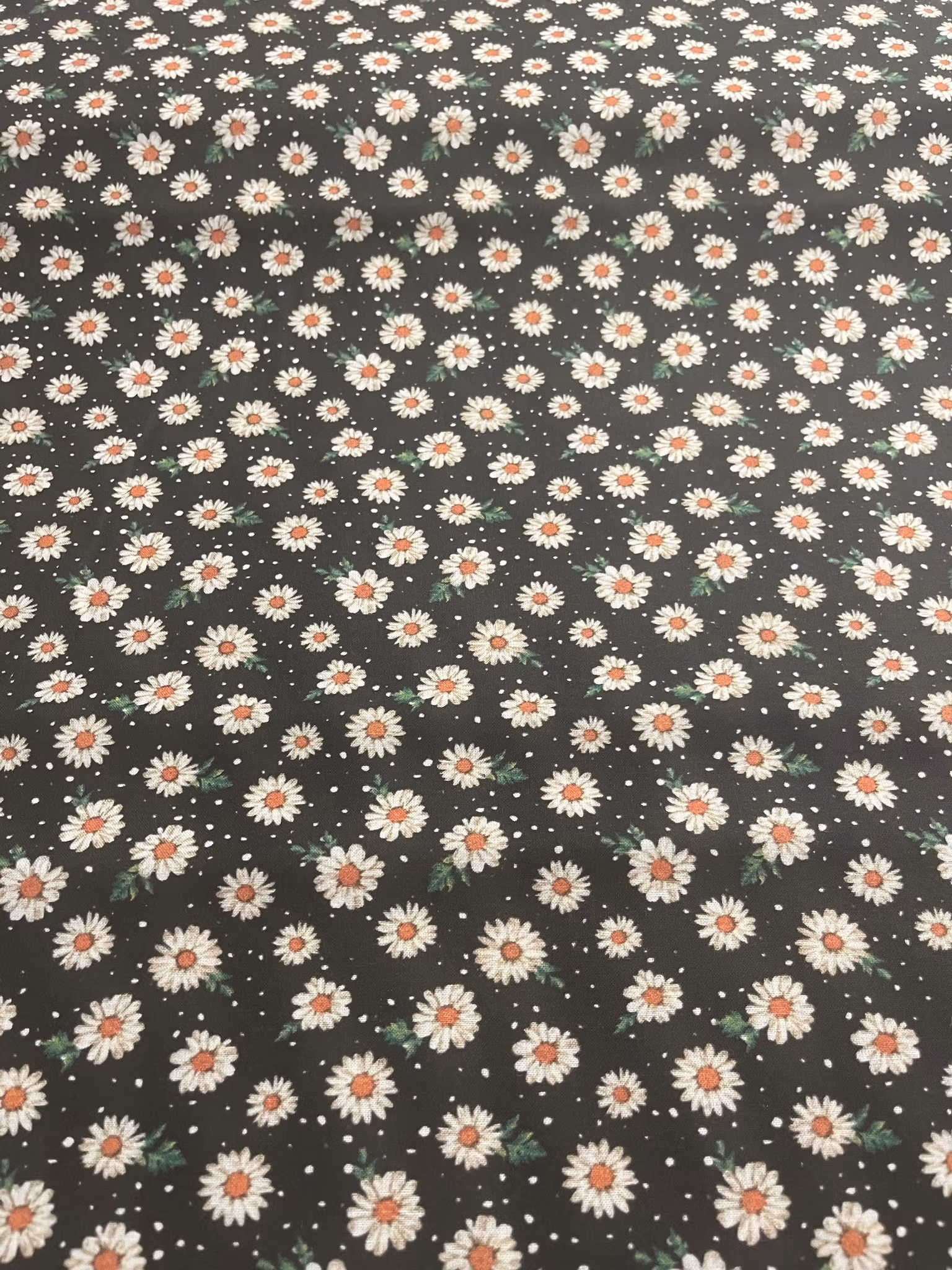 Margeritter Svart - Bomullspoplin