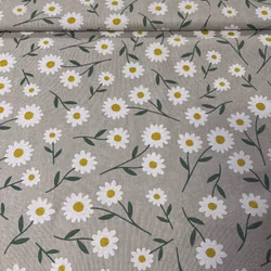 Linlook Canvas - Margeritter