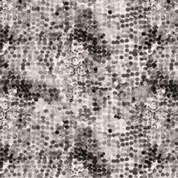 Shine on - Black and White