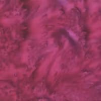 Batik - Touch
