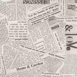 Spackle News - Canvas
