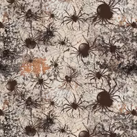 Scary Spice - Scary Spider