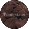 Premium Sun Dark Chocolate 5 semillas