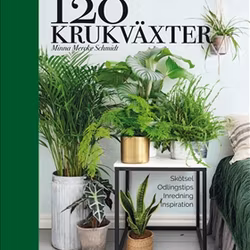 120 krukväxter