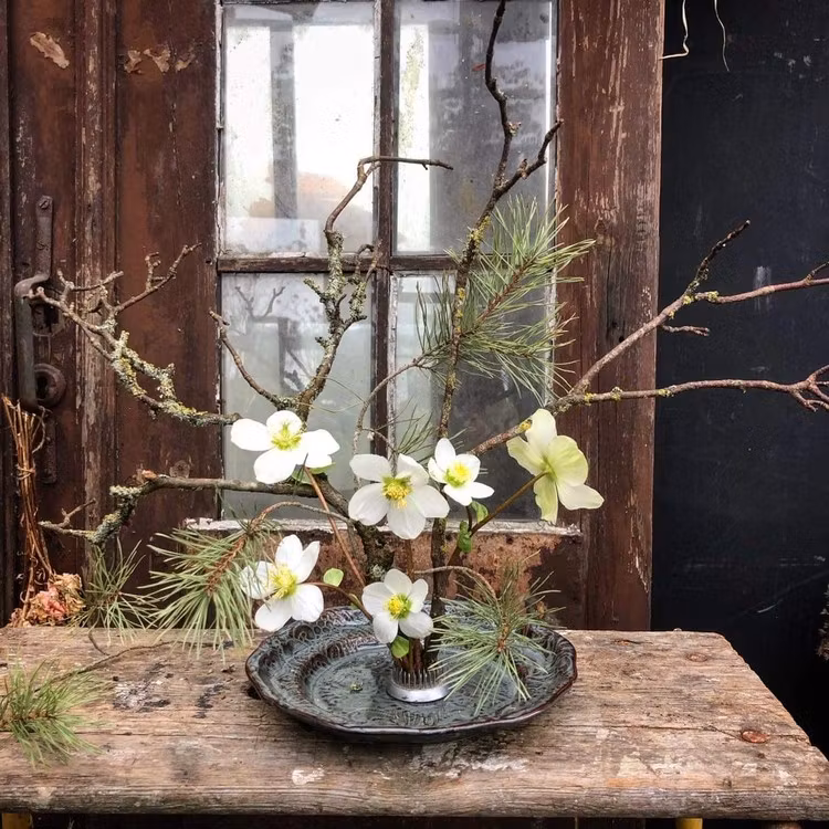 Kenzan blomsterfakir, liten