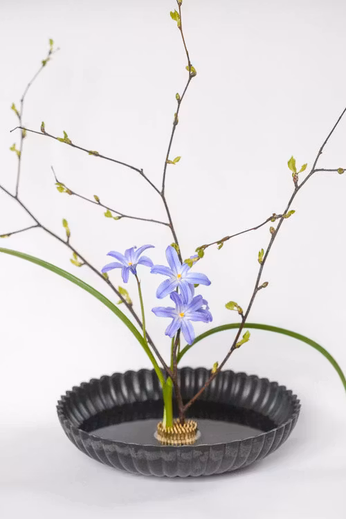 Kenzan blomsterfakir, liten