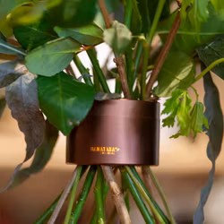 Hanataba Muddy Brown