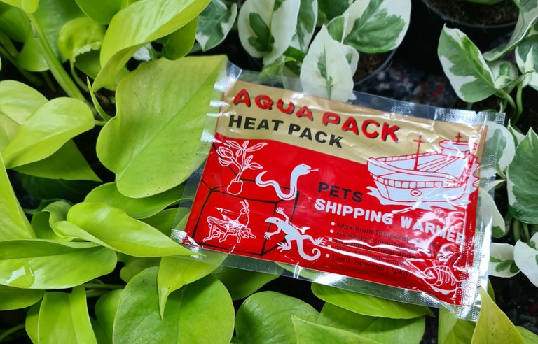 Heat pack för växter - Leverans vid kyla 72 timmar