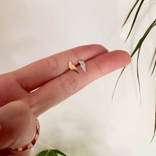 Begonia Angelwings guldörhängen