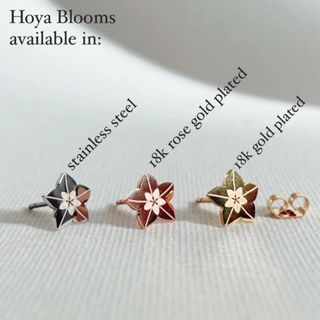 Hoya blommor guldörhängen