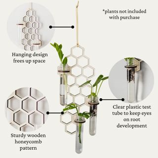 Sticklingsstation Honeycomb stor