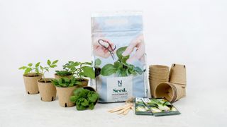 Premium Såjord 4L Seed - Nelson Garden